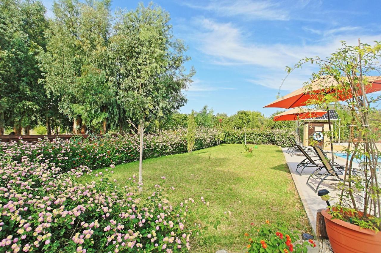Villa Georgios Rafaela Polis Esterno foto
